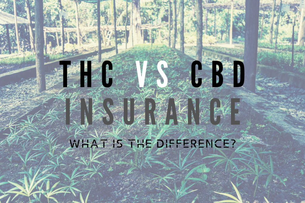 What is the difference between Cannabis THC Insurance and Hemp CBD Insurance?